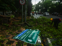 Officers are cutting trees that have fallen due to extreme weather in Medan City, North Sumatra, Indonesia, on March 20, 2024. The Meteorolo...