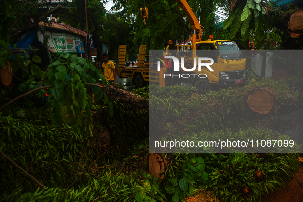 Officers are cutting trees that have fallen due to extreme weather in Medan City, North Sumatra, Indonesia, on March 20, 2024. The Meteorolo...