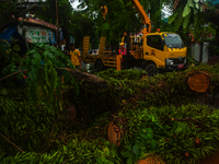 Officers are cutting trees that have fallen due to extreme weather in Medan City, North Sumatra, Indonesia, on March 20, 2024. The Meteorolo...