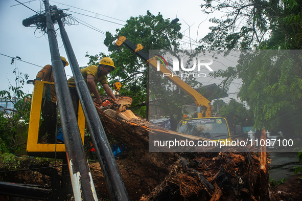 Officers are cutting trees that have fallen due to extreme weather in Medan City, North Sumatra, Indonesia, on March 20, 2024. The Meteorolo...