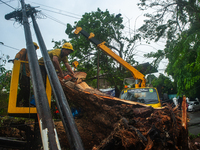 Officers are cutting trees that have fallen due to extreme weather in Medan City, North Sumatra, Indonesia, on March 20, 2024. The Meteorolo...