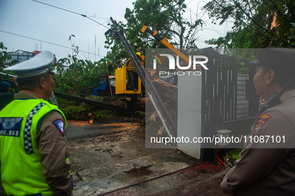 Police personnel are standing guard while officers are cutting trees that fell due to extreme weather in Medan City, North Sumatra, Indonesi...