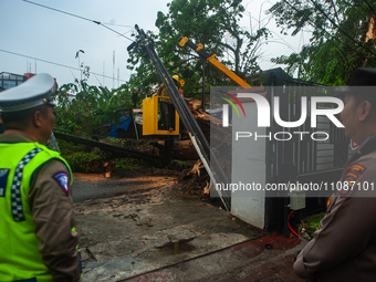 Police personnel are standing guard while officers are cutting trees that fell due to extreme weather in Medan City, North Sumatra, Indonesi...