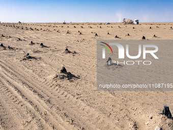 In Jiuquan, China, on March 18, 2024, an aerial photo shows the Jinta Zhongguang Solar 100,000kw solar thermal + 600,000kW photovoltaic proj...