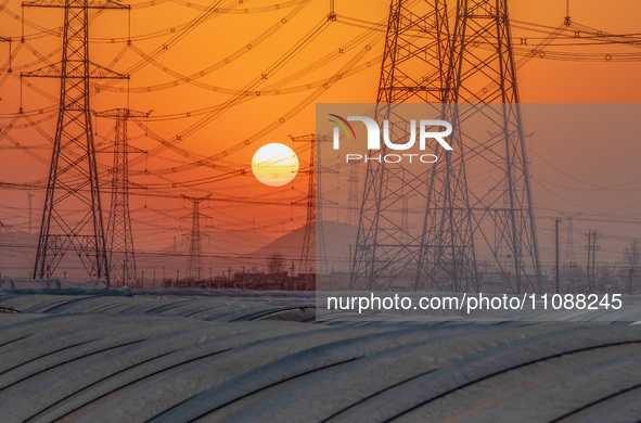 High-voltage power lines and potato greenhouses are being seen at sunset in Tengzhou, China, on March 20, 2024. 