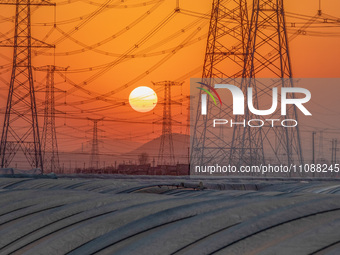 High-voltage power lines and potato greenhouses are being seen at sunset in Tengzhou, China, on March 20, 2024. (