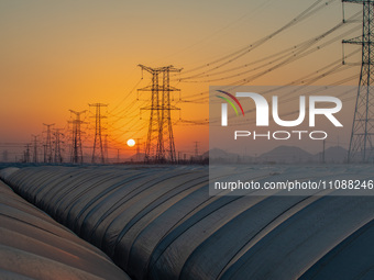 High-voltage power lines and potato greenhouses are being seen at sunset in Tengzhou, China, on March 20, 2024. (