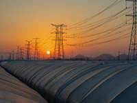 High-voltage power lines and potato greenhouses are being seen at sunset in Tengzhou, China, on March 20, 2024. (