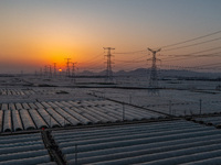 High-voltage power lines and potato greenhouses are being seen at sunset in Tengzhou, China, on March 20, 2024. (