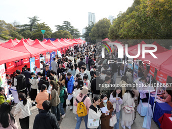 College students are looking for jobs at a spring job fair at Siyuan Square on the Xiangshan campus of Huaibei Normal University in Huaibei,...