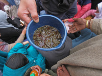 A local practitioner is placing leeches in a plastic mug for Nowruz, the beginning of the year in the Persian calendar, in Srinagar, Kashmir...