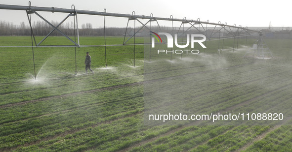 A farmer is using a water-saving pivot sprinkler for spring irrigation in Zouping, China, on March 21, 2024. 