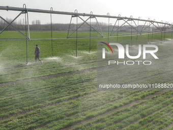 A farmer is using a water-saving pivot sprinkler for spring irrigation in Zouping, China, on March 21, 2024. (