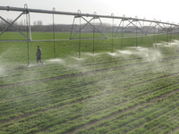 A farmer is using a water-saving pivot sprinkler for spring irrigation in Zouping, China, on March 21, 2024. (