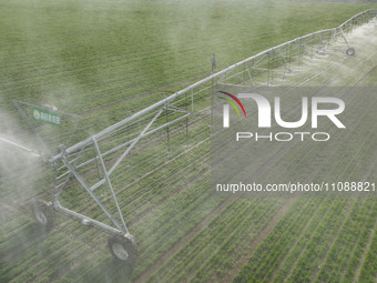 A farmer is using a water-saving pivot sprinkler for spring irrigation in Zouping, China, on March 21, 2024. (