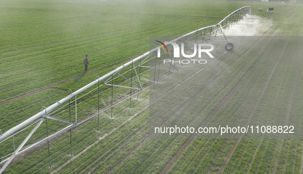 A farmer is using a water-saving pivot sprinkler for spring irrigation in Zouping, China, on March 21, 2024. 