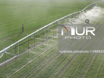 A farmer is using a water-saving pivot sprinkler for spring irrigation in Zouping, China, on March 21, 2024. (