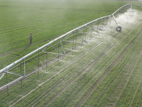 A farmer is using a water-saving pivot sprinkler for spring irrigation in Zouping, China, on March 21, 2024. (