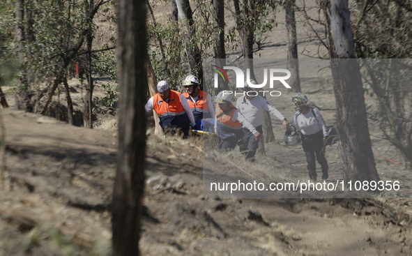 Members of Civil Protection are rescuing a person who suffered a fall while climbing Cerro de la Estrella in the Iztapalapa mayor's office i...