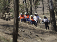 Members of Civil Protection are rescuing a person who suffered a fall while climbing Cerro de la Estrella in the Iztapalapa mayor's office i...