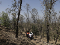 Members of Civil Protection are rescuing a person who suffered a fall while climbing Cerro de la Estrella in the Iztapalapa mayor's office i...