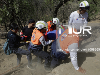 Members of Civil Protection are rescuing a person who suffered a fall while climbing Cerro de la Estrella in the Iztapalapa mayor's office i...