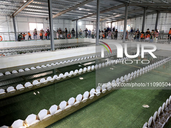 People are visiting the tap water production system at Beijiao Water Plant in Zaozhuang, China, on March 22, 2024. (