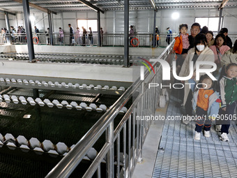 People are visiting the tap water production system at Beijiao Water Plant in Zaozhuang, China, on March 22, 2024. (