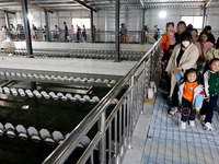 People are visiting the tap water production system at Beijiao Water Plant in Zaozhuang, China, on March 22, 2024. (