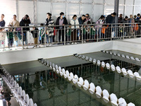 People are visiting the tap water production system at Beijiao Water Plant in Zaozhuang, China, on March 22, 2024. (