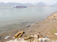 Debris is floating downstream, brought by the 2023 Yangtze River flood, near the Linjiangxi Bridge in Yichang on the Yangtze River in Yichan...