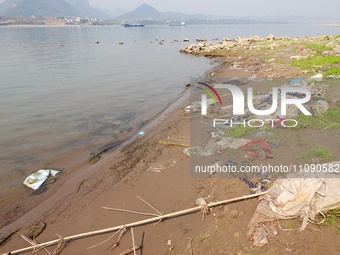 Debris is floating downstream, brought by the 2023 Yangtze River flood, near the Linjiangxi Bridge in Yichang on the Yangtze River in Yichan...