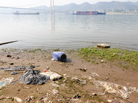 Debris is floating downstream, brought by the 2023 Yangtze River flood, near the Linjiangxi Bridge in Yichang on the Yangtze River in Yichan...