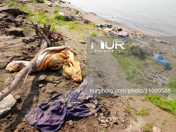 Debris is floating downstream, brought by the 2023 Yangtze River flood, near the Linjiangxi Bridge in Yichang on the Yangtze River in Yichan...