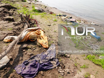 Debris is floating downstream, brought by the 2023 Yangtze River flood, near the Linjiangxi Bridge in Yichang on the Yangtze River in Yichan...