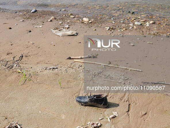 Debris is floating downstream, brought by the 2023 Yangtze River flood, near the Linjiangxi Bridge in Yichang on the Yangtze River in Yichan...