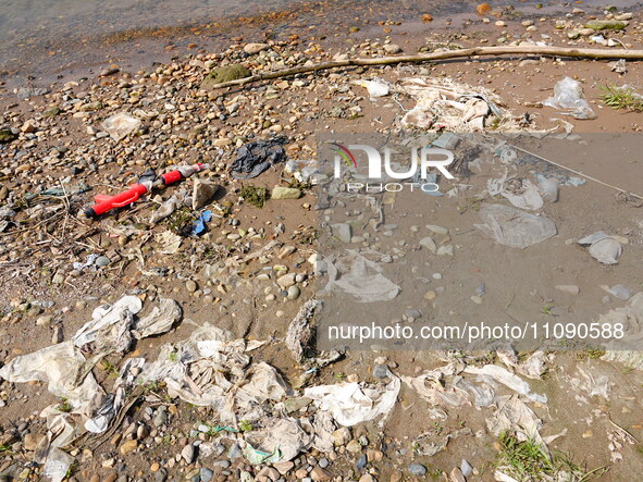 Debris is floating downstream, brought by the 2023 Yangtze River flood, near the Linjiangxi Bridge in Yichang on the Yangtze River in Yichan...