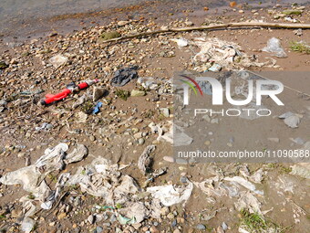 Debris is floating downstream, brought by the 2023 Yangtze River flood, near the Linjiangxi Bridge in Yichang on the Yangtze River in Yichan...