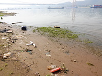 Debris is floating downstream, brought by the 2023 Yangtze River flood, near the Linjiangxi Bridge in Yichang on the Yangtze River in Yichan...