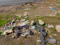 Debris is floating downstream, brought by the 2023 Yangtze River flood, near the Linjiangxi Bridge in Yichang on the Yangtze River in Yichan...