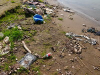 Debris is floating downstream, brought by the 2023 Yangtze River flood, near the Linjiangxi Bridge in Yichang on the Yangtze River in Yichan...