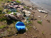 Debris is floating downstream, brought by the 2023 Yangtze River flood, near the Linjiangxi Bridge in Yichang on the Yangtze River in Yichan...