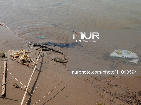 Debris is floating downstream, brought by the 2023 Yangtze River flood, near the Linjiangxi Bridge in Yichang on the Yangtze River in Yichan...