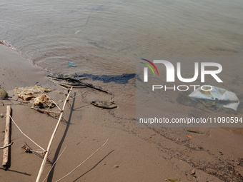 Debris is floating downstream, brought by the 2023 Yangtze River flood, near the Linjiangxi Bridge in Yichang on the Yangtze River in Yichan...