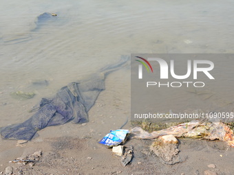 Debris is floating downstream, brought by the 2023 Yangtze River flood, near the Linjiangxi Bridge in Yichang on the Yangtze River in Yichan...