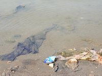 Debris is floating downstream, brought by the 2023 Yangtze River flood, near the Linjiangxi Bridge in Yichang on the Yangtze River in Yichan...