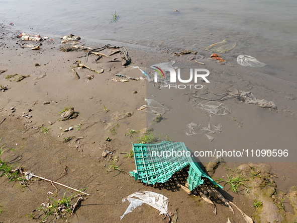 Debris is floating downstream, brought by the 2023 Yangtze River flood, near the Linjiangxi Bridge in Yichang on the Yangtze River in Yichan...