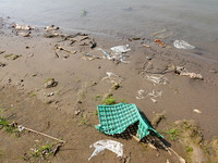 Debris is floating downstream, brought by the 2023 Yangtze River flood, near the Linjiangxi Bridge in Yichang on the Yangtze River in Yichan...