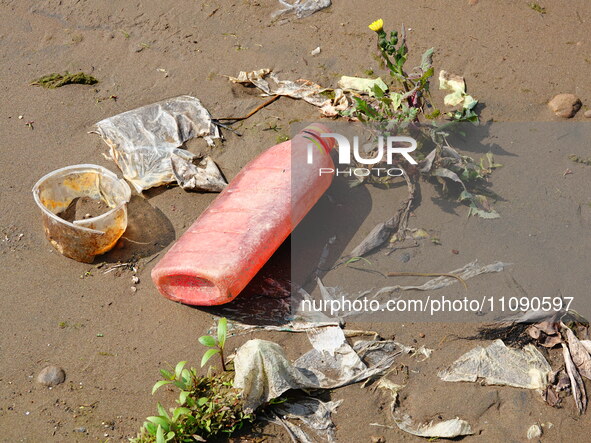 Debris is floating downstream, brought by the 2023 Yangtze River flood, near the Linjiangxi Bridge in Yichang on the Yangtze River in Yichan...