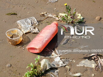 Debris is floating downstream, brought by the 2023 Yangtze River flood, near the Linjiangxi Bridge in Yichang on the Yangtze River in Yichan...